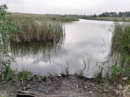 Следователи СК устанавливают обстоятельства гибели несовершеннолетнего в водоеме в Терновском районе
